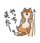 捕獲された猫スタンプ（個別スタンプ：24）