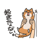 捕獲された猫スタンプ（個別スタンプ：27）