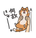 捕獲された猫スタンプ（個別スタンプ：29）
