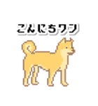 レトロなドット絵スタンプ×ダジャレ（個別スタンプ：13）