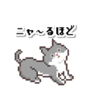 レトロなドット絵スタンプ×ダジャレ（個別スタンプ：30）