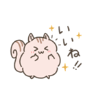 ふわもこリスの日常で使えるスタンプ（個別スタンプ：4）