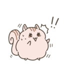 ふわもこリスの日常で使えるスタンプ（個別スタンプ：6）