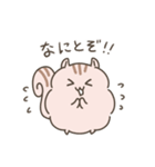 ふわもこリスの日常で使えるスタンプ（個別スタンプ：24）