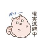 ふわもこリスの日常で使えるスタンプ（個別スタンプ：35）