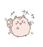ふわもこリスの日常で使えるスタンプ（個別スタンプ：40）