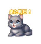 とにかくかわいい コラット（個別スタンプ：5）