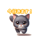 とにかくかわいい コラット（個別スタンプ：17）