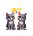 とにかくかわいい コラット（個別スタンプ：29）