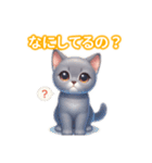 とにかくかわいい コラット（個別スタンプ：30）