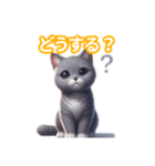 とにかくかわいい コラット（個別スタンプ：33）