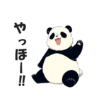 かわいいパンダの日常会話スタンプ（個別スタンプ：1）
