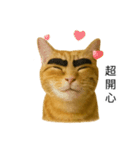 まゆげネコ・モモの爆笑日常（個別スタンプ：1）