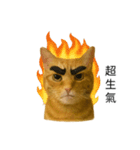 まゆげネコ・モモの爆笑日常（個別スタンプ：2）