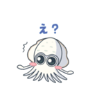 アオリイカとエギングで釣れるイカ5（個別スタンプ：24）