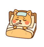 タイトル: ゴムゴム柴（しば）（個別スタンプ：28）