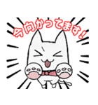 しろくろ猫が代弁します（個別スタンプ：14）