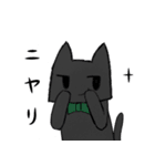 しろくろ猫が代弁します（個別スタンプ：27）