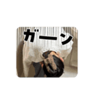 Y.K.life（個別スタンプ：8）
