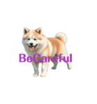 秋田犬E move（個別スタンプ：1）
