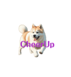 秋田犬E move（個別スタンプ：4）