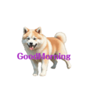 秋田犬E move（個別スタンプ：6）