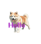 秋田犬E move（個別スタンプ：8）