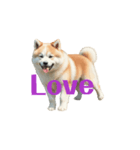 秋田犬E move（個別スタンプ：9）