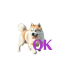 秋田犬E move（個別スタンプ：11）