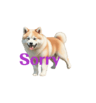 秋田犬E move（個別スタンプ：12）