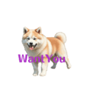秋田犬E move（個別スタンプ：16）