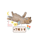 じじ山の犬猫①（個別スタンプ：4）
