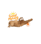 じじ山の犬猫①（個別スタンプ：7）