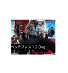 筋トレ 格闘技（個別スタンプ：1）