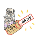 【再販】飛び出す！パグと新年のご挨拶♪（個別スタンプ：9）