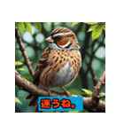 すずめの感情スタンプ（個別スタンプ：14）