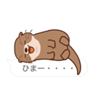 飛び出す！カワウソと吹き出しスタンプ（個別スタンプ：11）