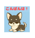 【毎日使える】チワワ（黒白）日常挨拶_2（個別スタンプ：3）