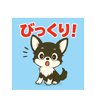 【毎日使える】チワワ（黒白）日常挨拶_2（個別スタンプ：7）
