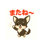 【毎日使える】チワワ（黒白）日常挨拶_2（個別スタンプ：16）