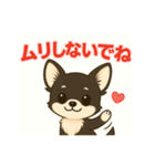 【毎日使える】チワワ（黒白）日常挨拶_2（個別スタンプ：17）
