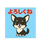【毎日使える】チワワ（黒白）日常挨拶_2（個別スタンプ：19）