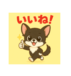 【毎日使える】チワワ（黒白）日常挨拶_2（個別スタンプ：23）