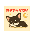 【毎日使える】チワワ（黒白）日常挨拶_2（個別スタンプ：24）