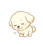 マルチーズくん（個別スタンプ：4）