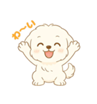 マルチーズくん（個別スタンプ：6）