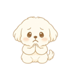 マルチーズくん（個別スタンプ：7）