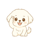 マルチーズくん（個別スタンプ：8）