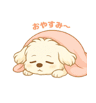 マルチーズくん（個別スタンプ：9）