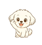 マルチーズくん（個別スタンプ：11）